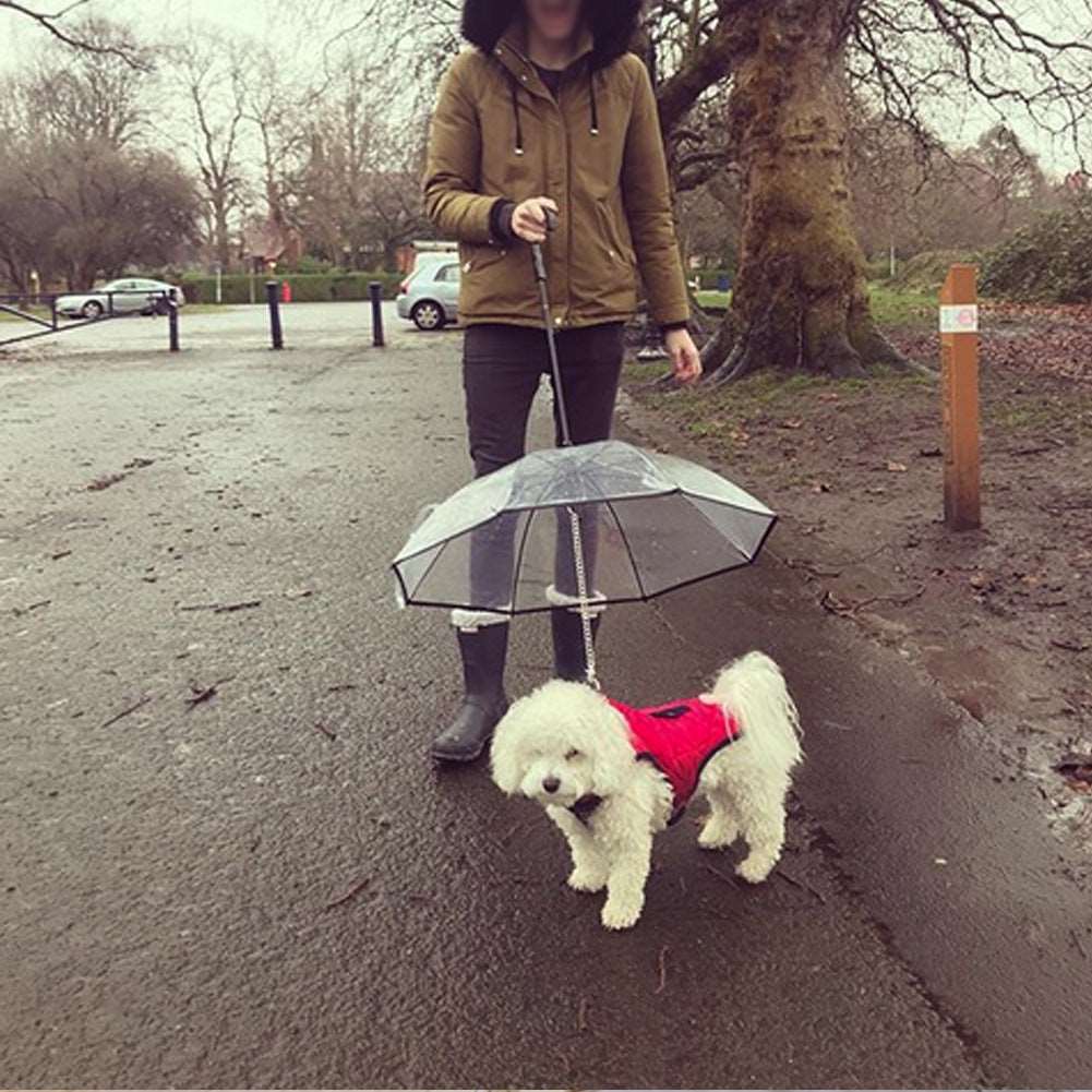 Hund paraply för småhundar och katter Bild 3