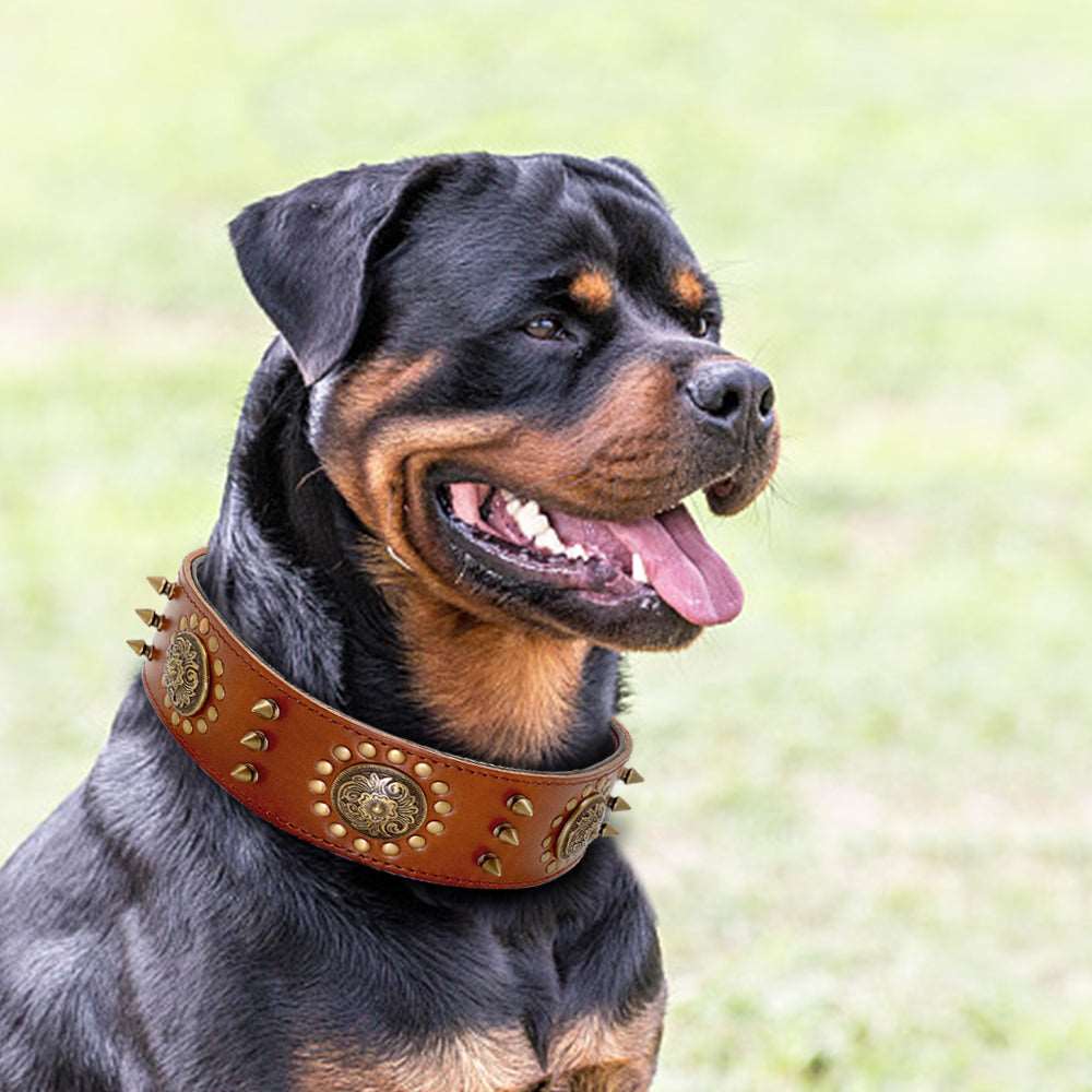 Förhöj din hunds stil med vår Läder Kung Hundhalsband!  Glamour-Svart-Vitt-Snö-köp-nu-Familj-Stad-Grön-Rosa-Resa-Vår-Sommar