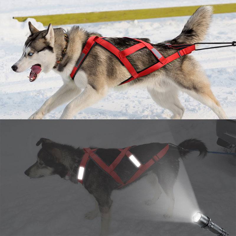 Hund dragsele för Stora Hundar drag-sele-draghund-hund-pet-maximal-Rep-slädhund-hög-unisex-Gul-röd-svart-färger-winter-summer-tävling-sport-Alaska-USA-EU