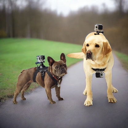 Fäst din GoPro-kamera på hunden och fånga världen ur dess perspektiv. Det här bröstbältet har två fasta positioner för att fånga olika vinklar: fastsättning på bröstet för att fånga tuggben, markskrapning och rörelser framåt; fastsättning på ryggen