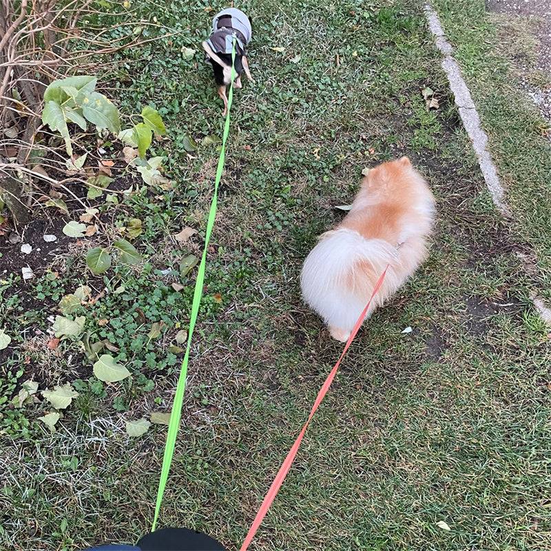 Batteridrivet dubbel hundkoppel 3 M.  Rep-Pet-Batteri-Små - Medelstora- hundar-katt-Hund-Promenad-Automatisk-LED