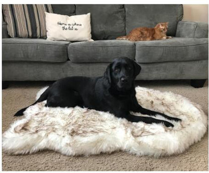 Super soft, comfortable relaxing dog bed