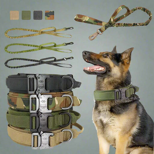 Pet-dog-k9-sport-training-tactical-xdogs-ab