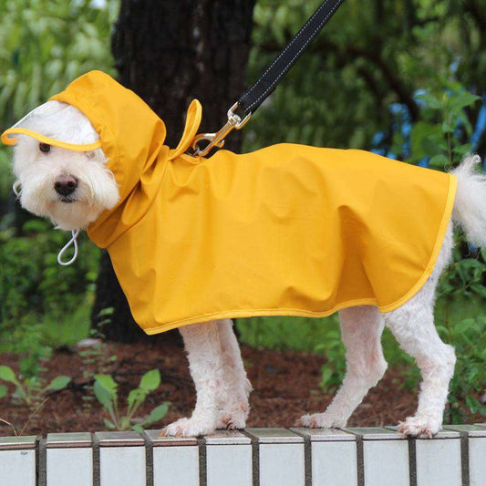 Hund Regnrock för små och medelstora hundar. Kaftfull-Gul-Blå-Grön-Färger-Uthållig-Hållbar-storm Yellow Bild 1