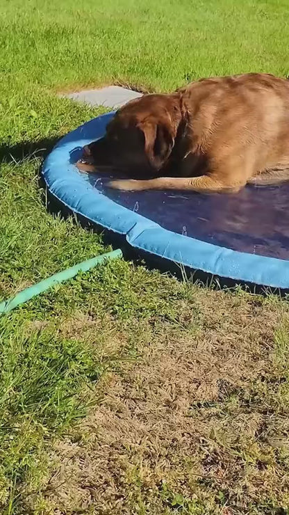 Inflatable Splash pool with water spray for both children and pets