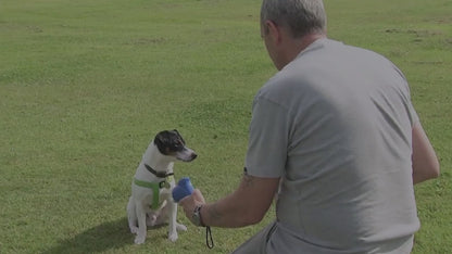 Uppmuntra Din Hund Med Vår Belöningspistol För Hundträning Och Vardagslydnad! En Fantastisk Interaktiv Leksak För Dig Och Ditt Husdjur, Med En Bärrem För Bättre Portabilitet Och Ett Bekvämt Handtag För Enkel Användning.