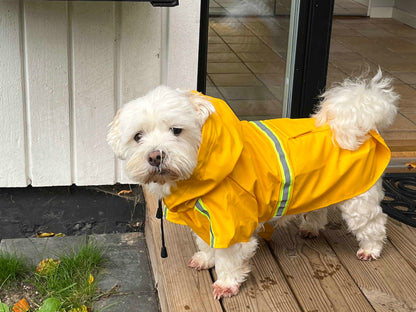 Håll Din Hund Torr och Synlig i Vår och Sommar med Vattentät Regnrock Blå ,Gul ,Orange ,Grön och Rosa.