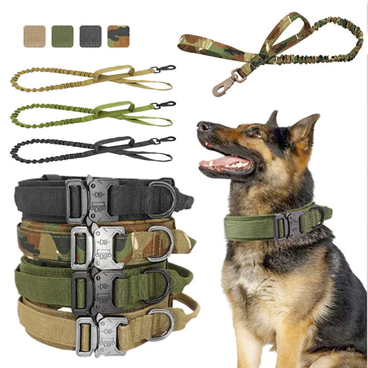 Tactical nylon dog collar and leash